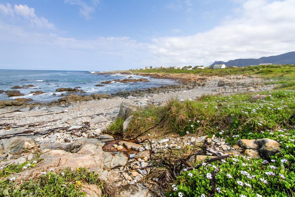Schulphoek Seafront House Германус Екстер'єр фото The coast of the island of Ons